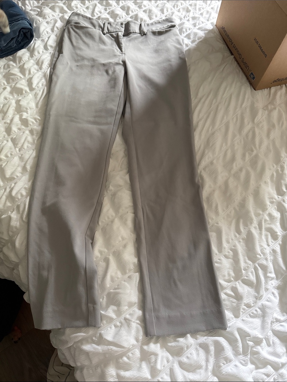 Light Gray Dress Pants